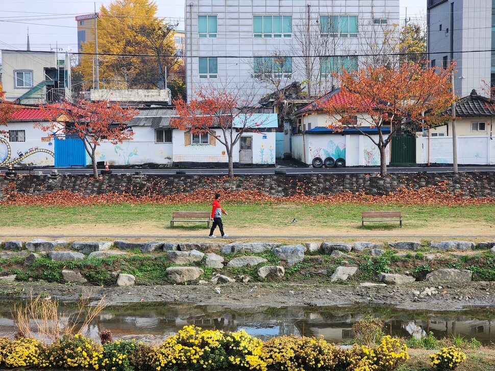 대전 동구 소제동(중앙동)의 대동천변 산책길. 허윤희 기자