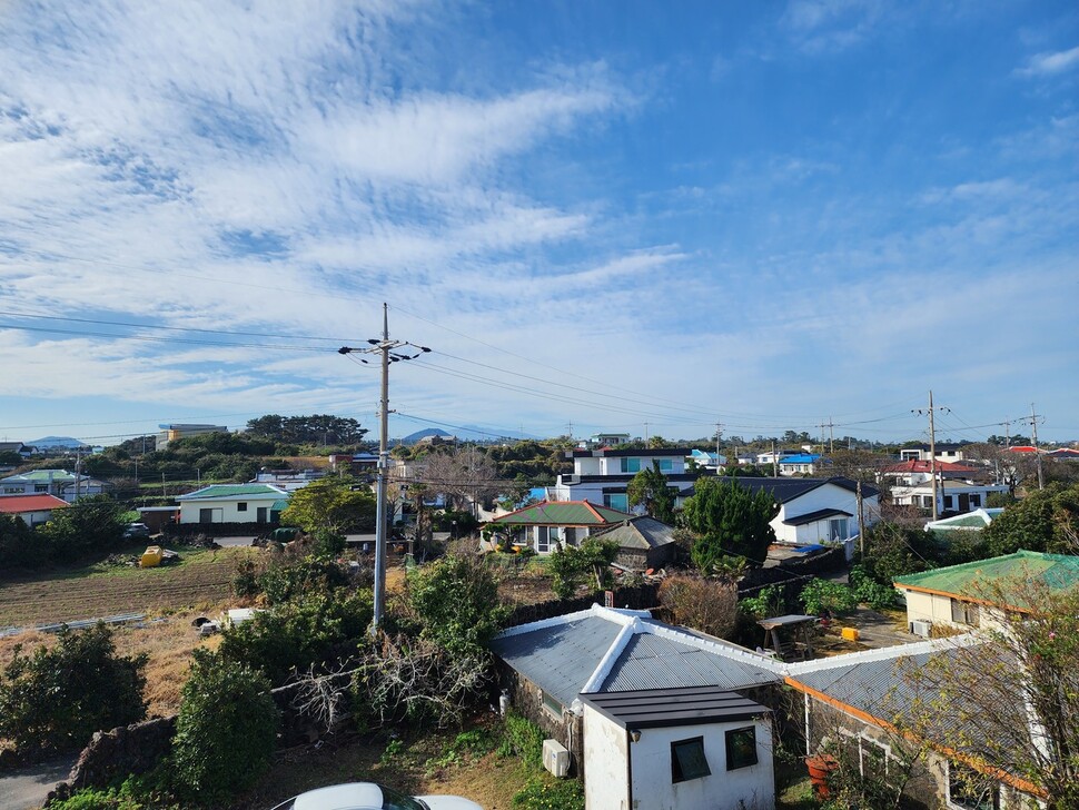 낮은 동산에서 본 ‘당근 마을’ 평대리의 전경. 평평한 지대에 있어 한눈에 마을이 보인다. 허윤희 기자