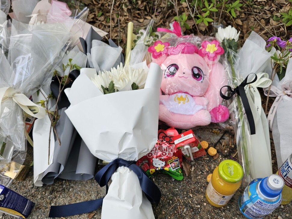 지난 8일 대전시 서구 둔산동 문정네거리에서 ㅂ씨가 운전하던 승용차가 인도로 돌진해 초등학생 4명을 덮쳤다. ㅂ씨는 면허 취소 수준의 음주 상태였다. 이 사고로 배승아양이 숨지고, 3명이 다쳤다. 10일 오전 사고 지점에 배양을 추모하는 국화꽃과 함께 분홍색 캐릭터 인형이 놓여 있다. 생전 배양은 분홍색을 가장 좋아했다. 최예린 기자