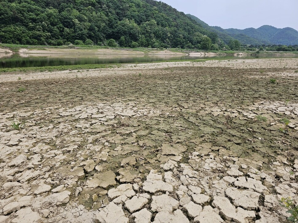 지난 12일 금강 고마나루 강변 모습. 모래톱은 사라지고 펄밭으로 변했다. 최예린 기자