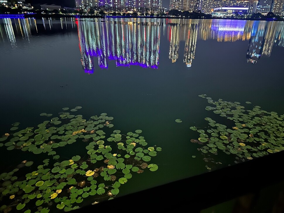 경기도 수원 광교호수공원의 야경. 경기관광공사 제공