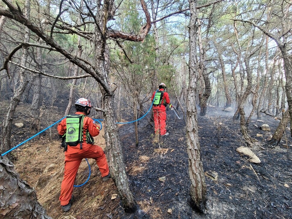 22일 오전 11시16분께 강원도 강릉시 성산면 위촌리에서 산불이 나자 진화 인력이 투입돼 산불을 끄고 있다. 산림청 제공