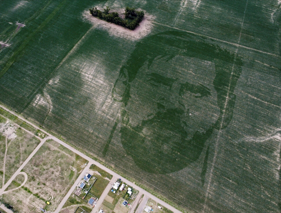 아르헨티나의 한 옥수수밭에 새겨진 리오넬 메시의 얼굴. 로이터 연합뉴스
