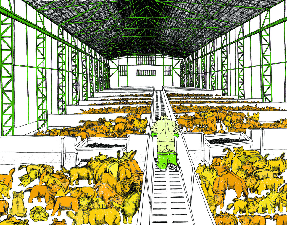 털을 위해 집단 사육되는 황금털 늑대의 이야기는 우리에게 농장동물이나 강아지공장의 번식견들을 떠올리게 한다. 책공장더불어 제공