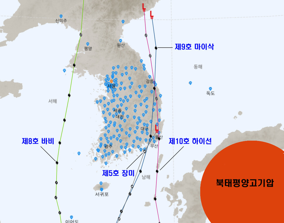 올해 우리나라에 영향을 준 ‘장미’ ‘바비’ ‘마이삭’ ‘하이선’ 등의 태풍들. 모두 경로가 남에서 북으로 북진하는 경향을 보였다. 기상청 국가태풍센터 제공