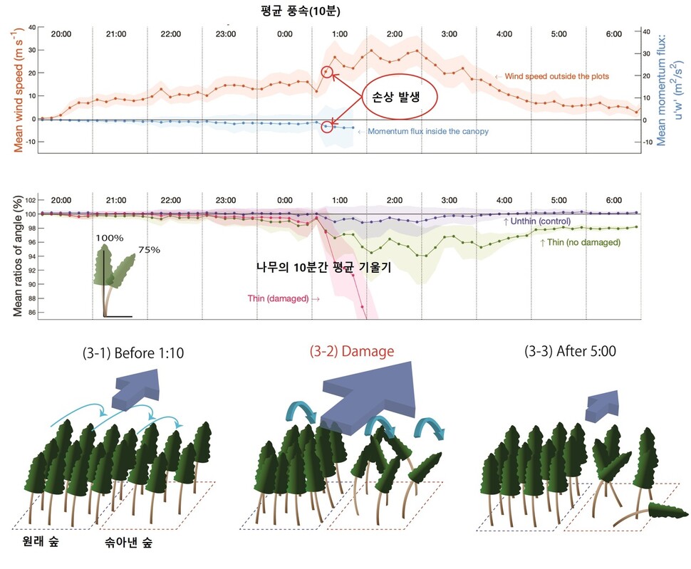 시험림의 풍속과 우듬지 운동량 변화(맨 위), 나무줄기가 지면과 이루는 기울기의 변화(가운데), 두 시험림의 태풍 반응 비교. 키마무라 카나, 신슈대 제공. ※ 이미지를 누르면 크게 볼 수 있습니다.