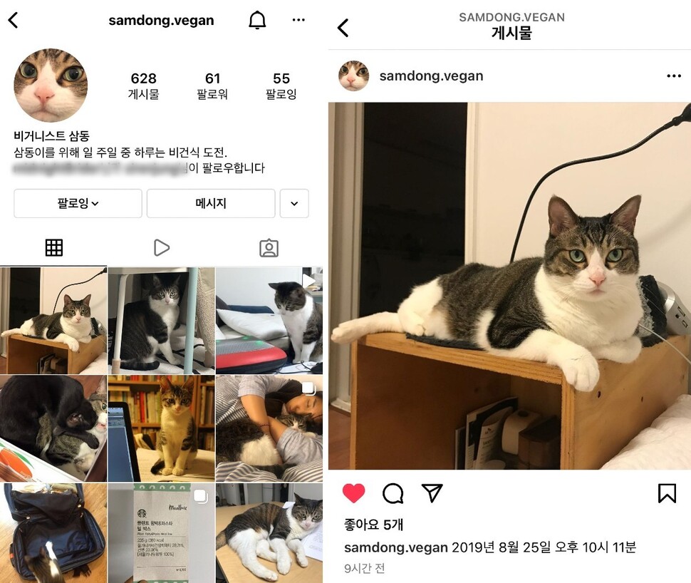 정은영씨는 떠나보낸 고양이 삼동이의 이름으로 SNS를 운영하며 일주일에 한 번 비건 채식하기를 실천하고 있다. SNS갈무리