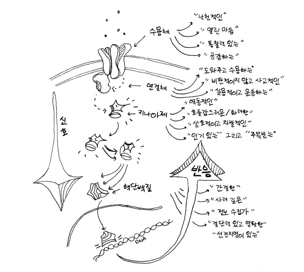 카밀라 팡은 다양한 유형의 단백질들이 공존하고 협력하는 모습을 인간관계의 길잡이로 삼았다.