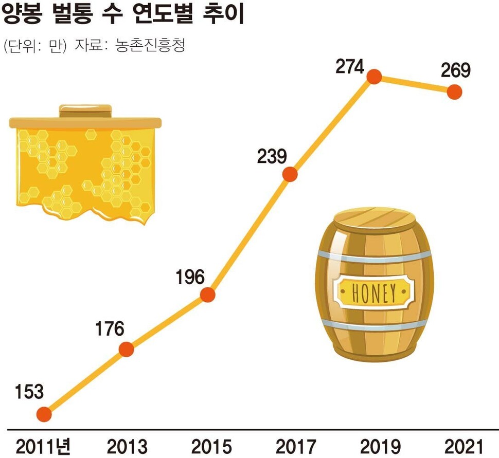 그래픽_나성숙 영상소셜팀 ※ 이미지를 누르면 크게 볼 수 있습니다.