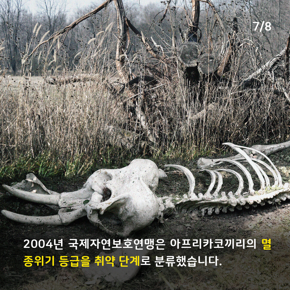애니멀피플 애니멀피플