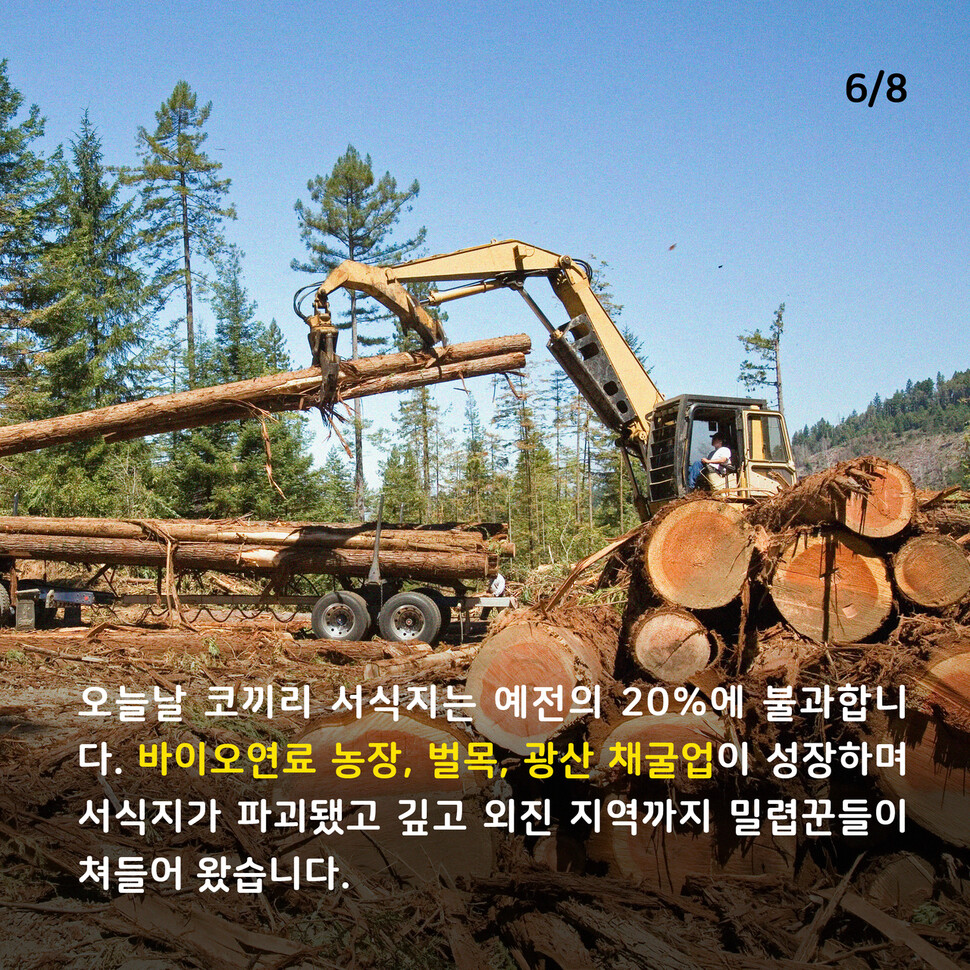 애니멀피플 애니멀피플