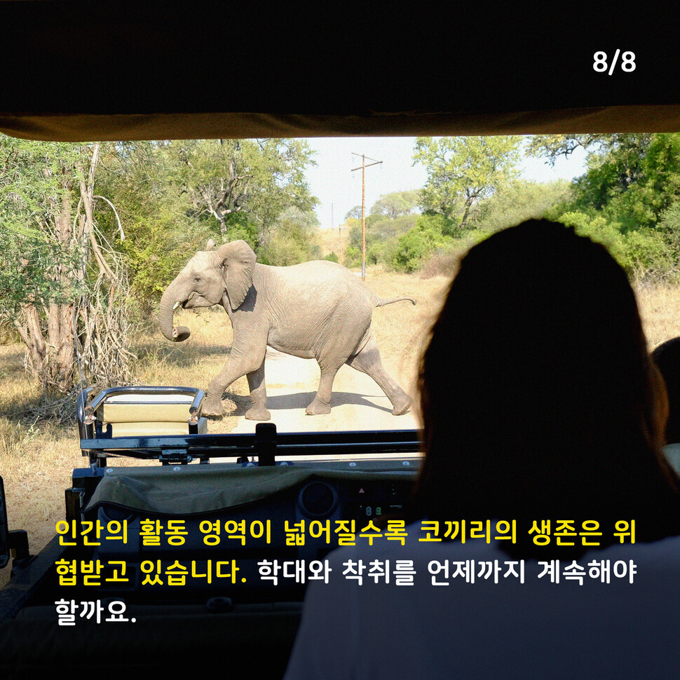 애니멀피플 애니멀피플