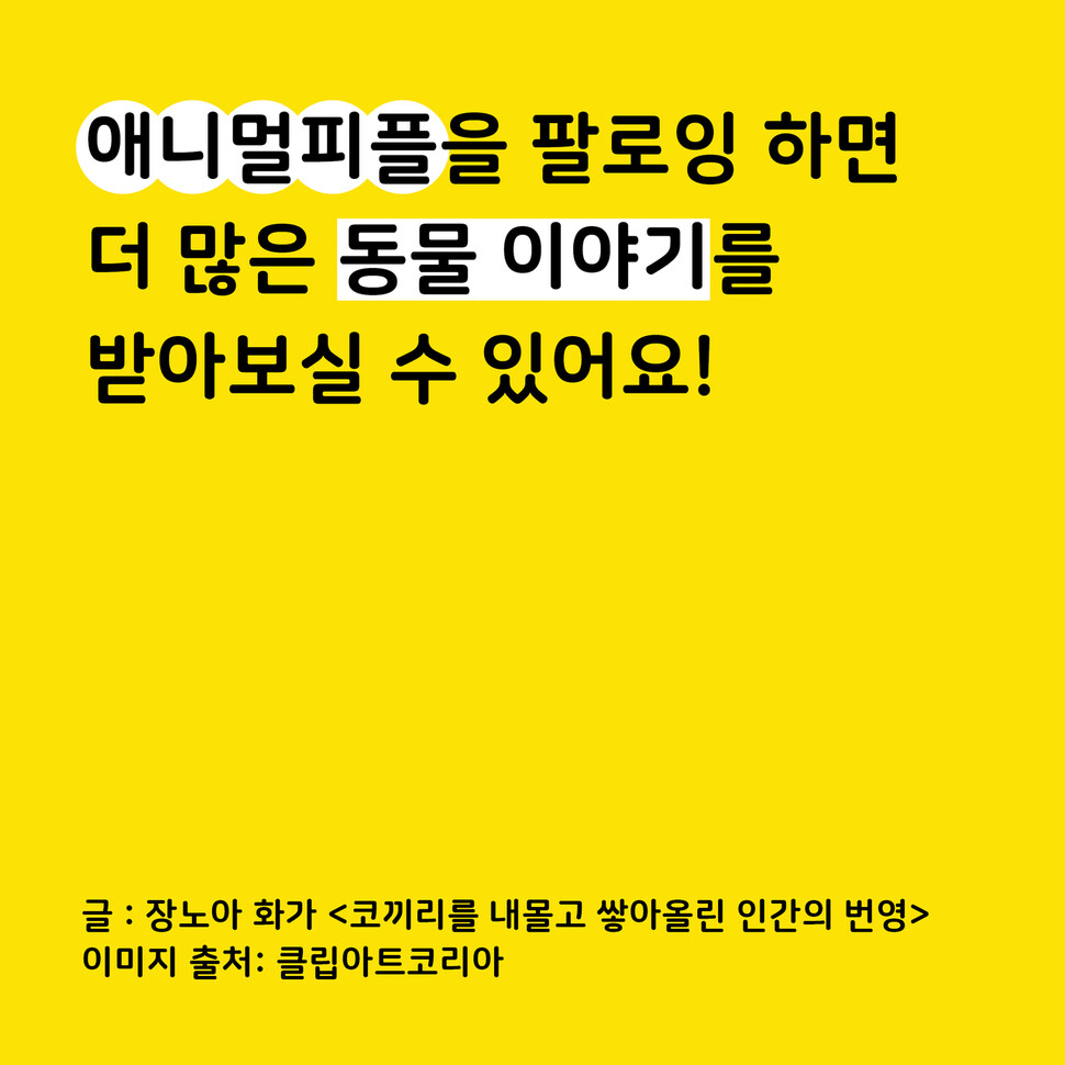 애니멀피플 애니멀피플
