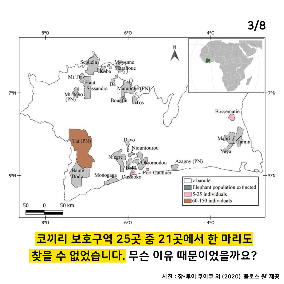 애니멀피플