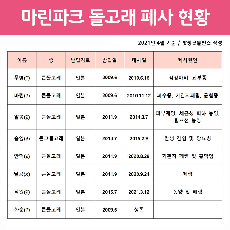 마린파크 돌고래 폐사 현황. 핫핑크돌핀스 제공