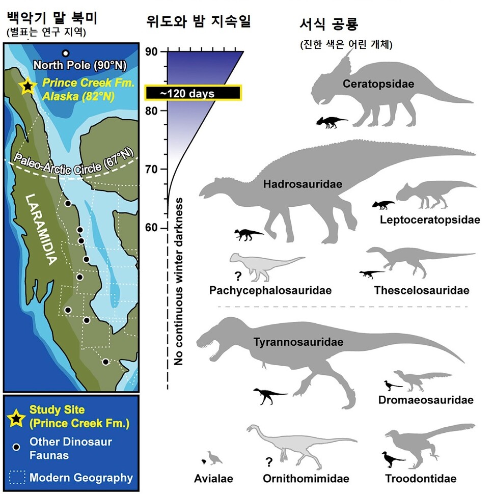 연구지역과 위도별 극야 일수, 화석이 발굴된 공룡. 패트릭 드러큰밀러 외 (2021) ‘커런트 바이올로지’ 제공.