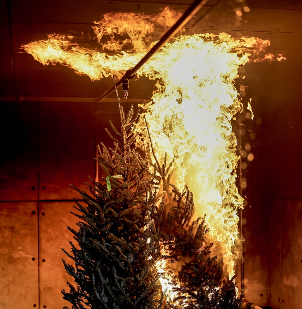 연말 화재 안전 시연에서 크리스마스 트리에 불이 붙고 있다. EPA 연합뉴스