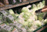 길어진 장마에 출하가 차질을 빚으면서 채소 도매가격에 이어 소매가격도 들썩이고 있다. 사진은 11일 서울의 한 대형마트 채소 판매대의 모습. 연합뉴스