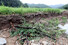  11일 오전 광주 광산구 임곡동 오룡마을 내 농경지가 최근 집중호우로 유실됐다. 연합뉴스