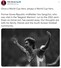 국제축구연맹(FIFA)이 7일 별세한 유상철 감독을 추모하기 위해 그의 선수 시절 사진과 함께 “한 번 월드컵 영웅은 언제나 월드컵 영웅”이라는 메시지를 트위터에 올렸다. 연합뉴스