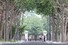 용산공원 시범개방 연장기간 마지막 날인 26일 오전 서울 용산공원에서 시민들이 산책을 즐기고 있다. 2022.6.26 연합뉴스