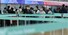 황금연휴를 맞아 2일 오전 인천국제공항 제1여객터미널 출국장 카운터에 이용객들이 줄을 서 있다. 연합뉴스