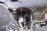 9일 모로코 마라케시에서 구조대원들이 강력한 지진으로 무너진 건물 잔해 속을 수색하고 있다. 마라케시/EPA 연합뉴스