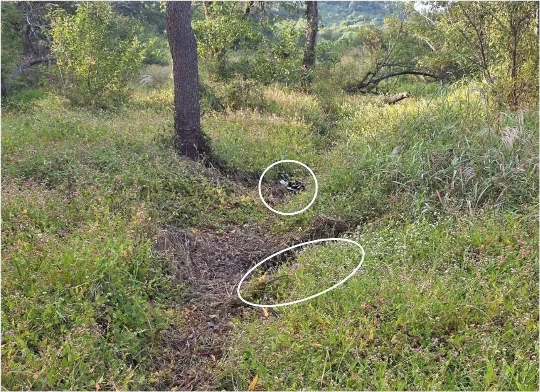 Two craters caused by probable land mine explosions. (courtesy Joint Chiefs)