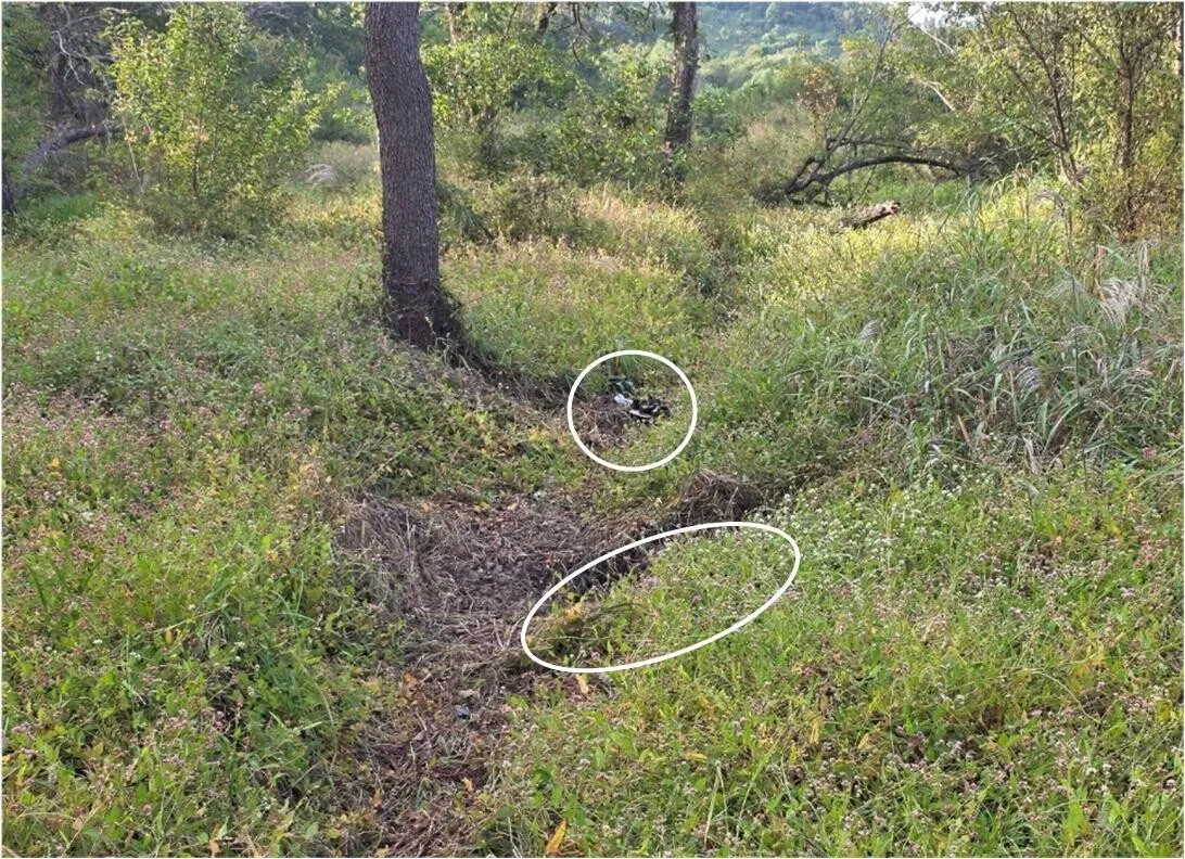 지난달 28일 서울 용산구 국방부에서 열린 합참 비무장지대 지뢰 추정 폭발 사고 브리핑에서 공개된 지뢰 폭발 화구 사진. 합동참모본부 제공
