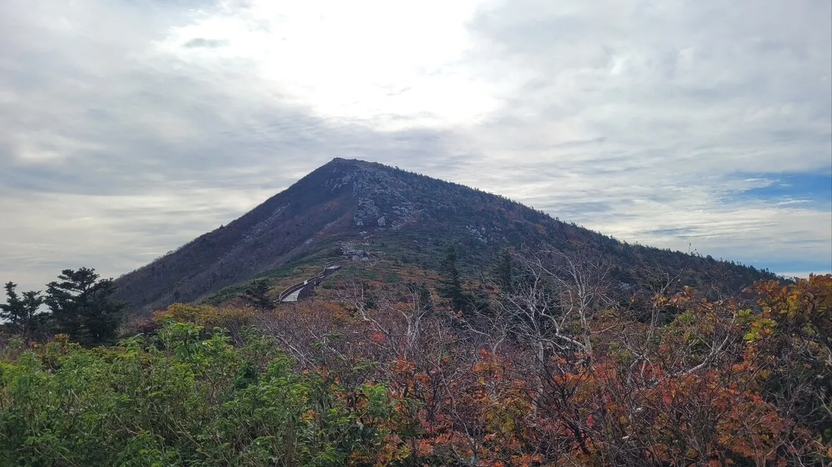 설악산 첫 단풍 들었다…평년과 비슷하게, 지난해보다 나흘 빨리