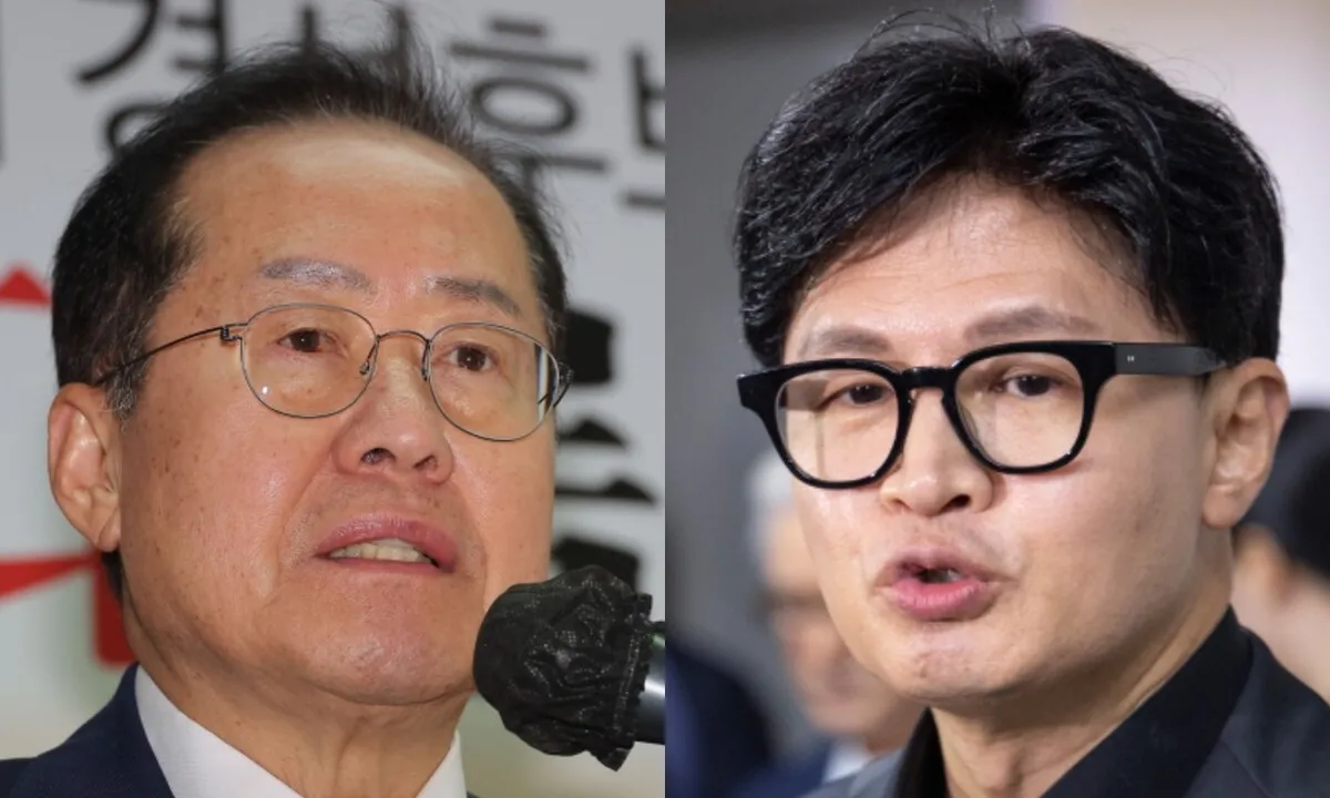 홍준표, 고 노회찬 언급하며 "한동훈 의원직 상실 수순 밟나" 주장