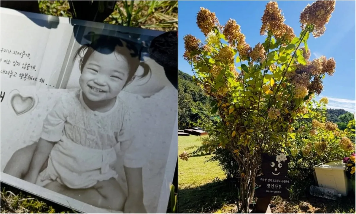 살았다면 초등학생일 아이…‘정인나무’는 훌쩍 자랐다