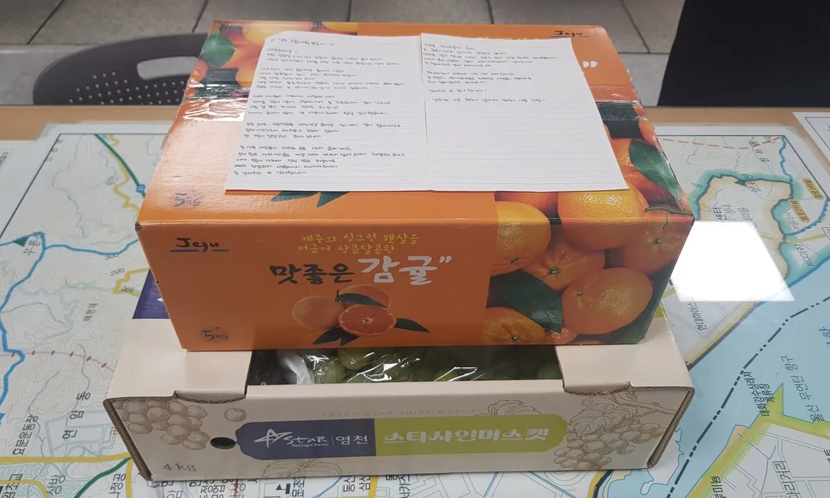 “9살 원숭이 엄마입니다” 소방서에 도착한 귤과 포도