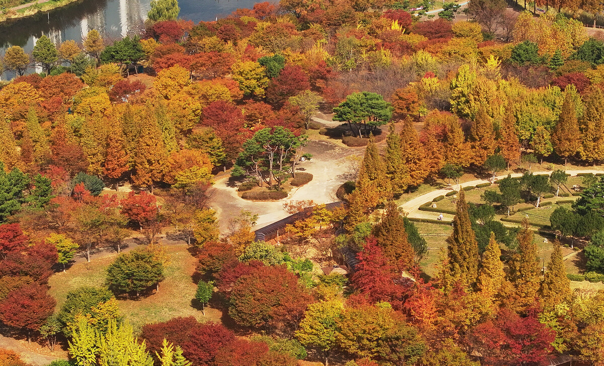 25일 경기도 안산시 상록구 안산호수공원에 단풍이 물들어 있다. 연합뉴스