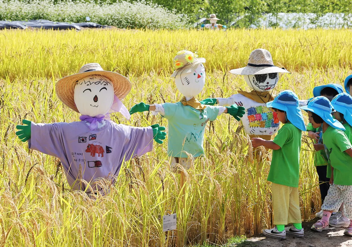 한가위 보름달은 내년에 만나요…추석 당일·이튿날 비 예보