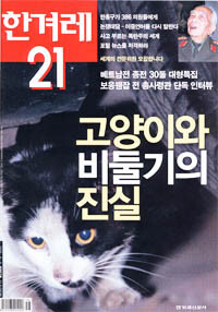 고양이와 비둘기의 진실