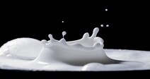 ‘소 없는 우유’ 나온다…온실가스 배출량 97% 감축 가능