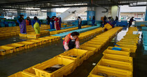 [Interview] He’s fished in Fukushima waters for 56 years — now Japan wants to dump radioactive waste there