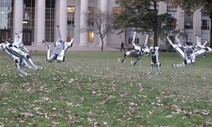 [영상] ‘미니 치타’ 로봇 9마리의 군무