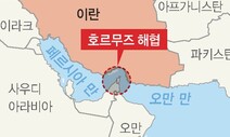 [속보] 한국, ‘호르무즈 해협’에 청해부대 ‘독자 파병’한다