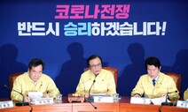 [사설] ‘꼼수에 꼼수’ 대응, 민주당 비례정당 참여 유감스럽다