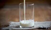 온라인 개학에 ‘갈 곳 잃은 우유’ 어쩌나