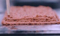 고기를 프린팅한다…3D프린팅 대체육 개발 바람