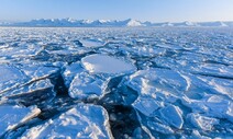‘북극 바다얼음’ 15년 뒤엔 지구에서 사라진다