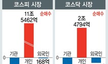 개미들 올 2주 14조원 ‘폭풍 순매수’ 작년 1년치의 5분의1