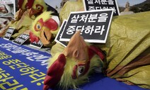 [포토] 한국동물보호연합 “AI 예방적 살처분을 중단하라”
