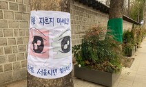 서울시, 덕수궁 돌담 앞 플라타너스 안 베기로