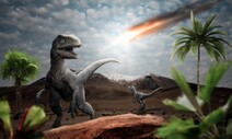 소행성 대충돌로 공룡 멸종한 지구, 채 회복되기 전 2차 충돌