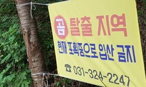 “1주일째 뒤졌는데 흔적도 없어”…용인 ‘곰 탈출’ 미스터리