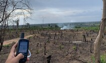 “6년 동안 여의도 24배 캄보디아 산림 훼손” REDD+ 왜 하나?